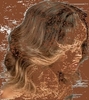UNice 13x4 Lace Frontal Human Hair Wig with Brown and Honey Blonde Highlights 150% Density Wavy Bob