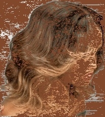 UNice 13x4 Lace Frontal Human Hair Wig with Brown and Honey Blonde Highlights 150% Density Wavy Bob